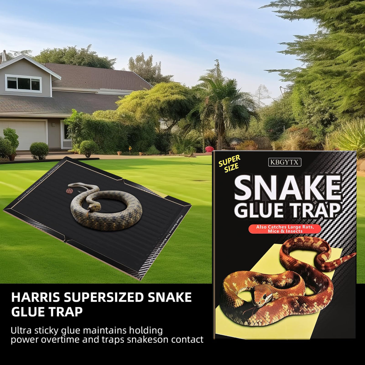 KBGYTX glue traps easy to set near doorways and vents