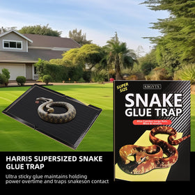 KBGYTX glue traps easy to set near doorways and vents