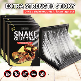 KBGYTX snake glue trap at entry points helps prevent indoor access