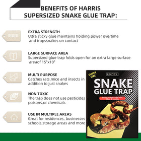 KBGYTX snake glue trap around sheds helps deter snakes