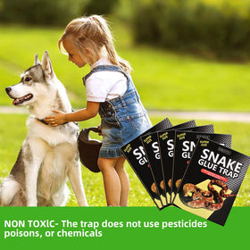 KBGYTX snake glue trap in home corners catches snakes safely