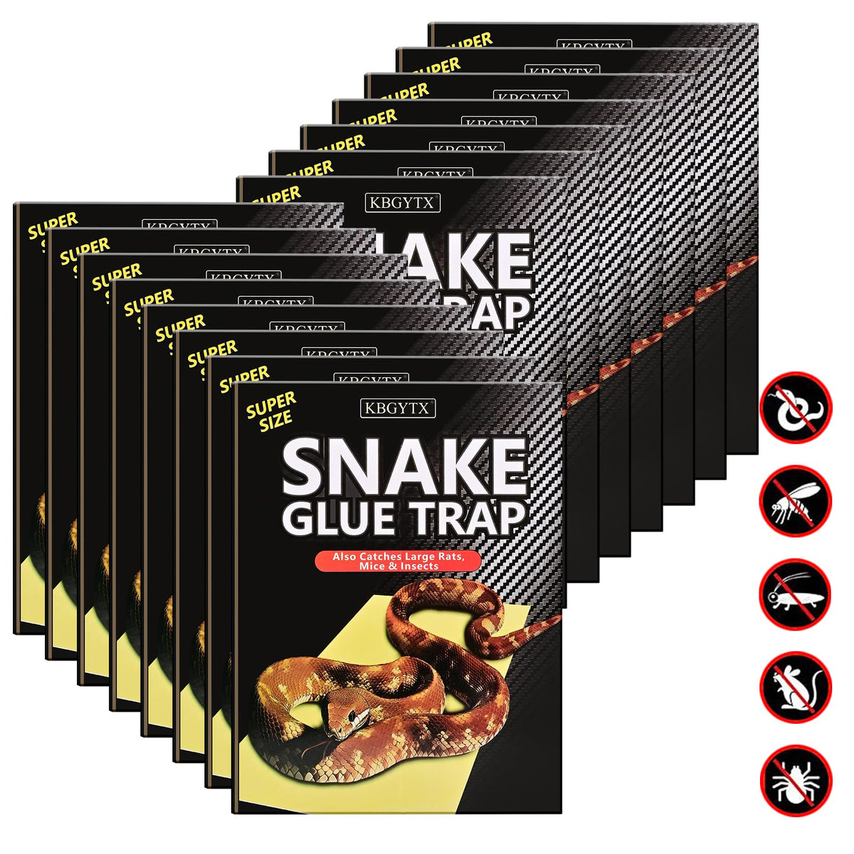 KBGYTX snake glue trap at camping area reduces snake encounters