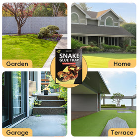 KBGYTX 4-pack snake glue traps ready for quick deployment