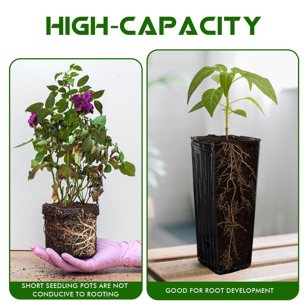 KBOROVER plastic seedling pots with drainage holes for seedlings