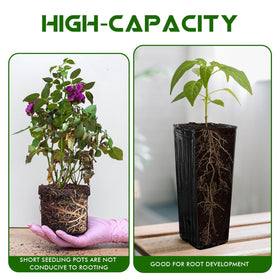 KBOROVER plastic seedling pots with drainage holes for seedlings
