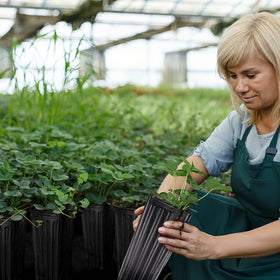 KBOROVER stackable deep nursery pots for organized setups