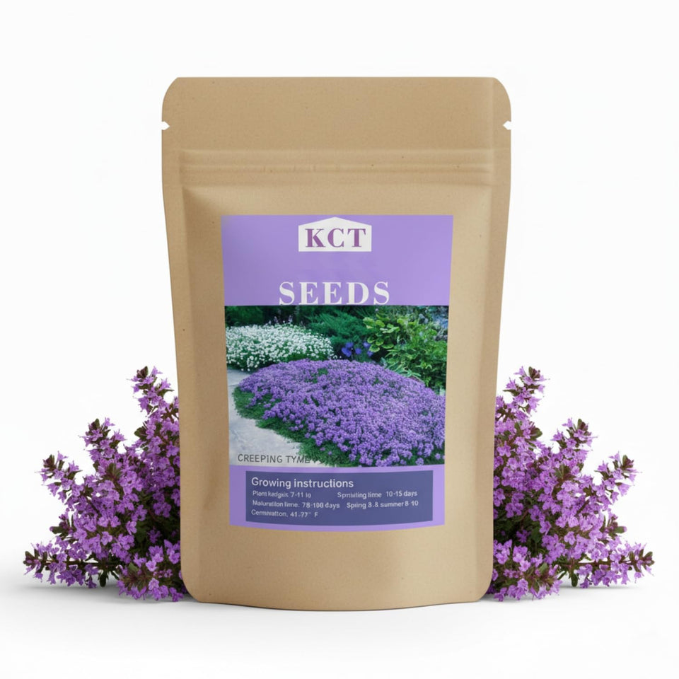 KCT Garden creeping thyme seeds in a 30,000 plus packet for fast border coverage.