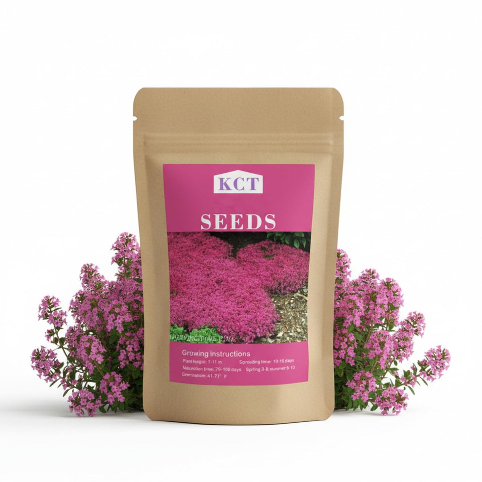 KCT GARDEN creeping thyme seeds arranged for rock garden and sunny borders.