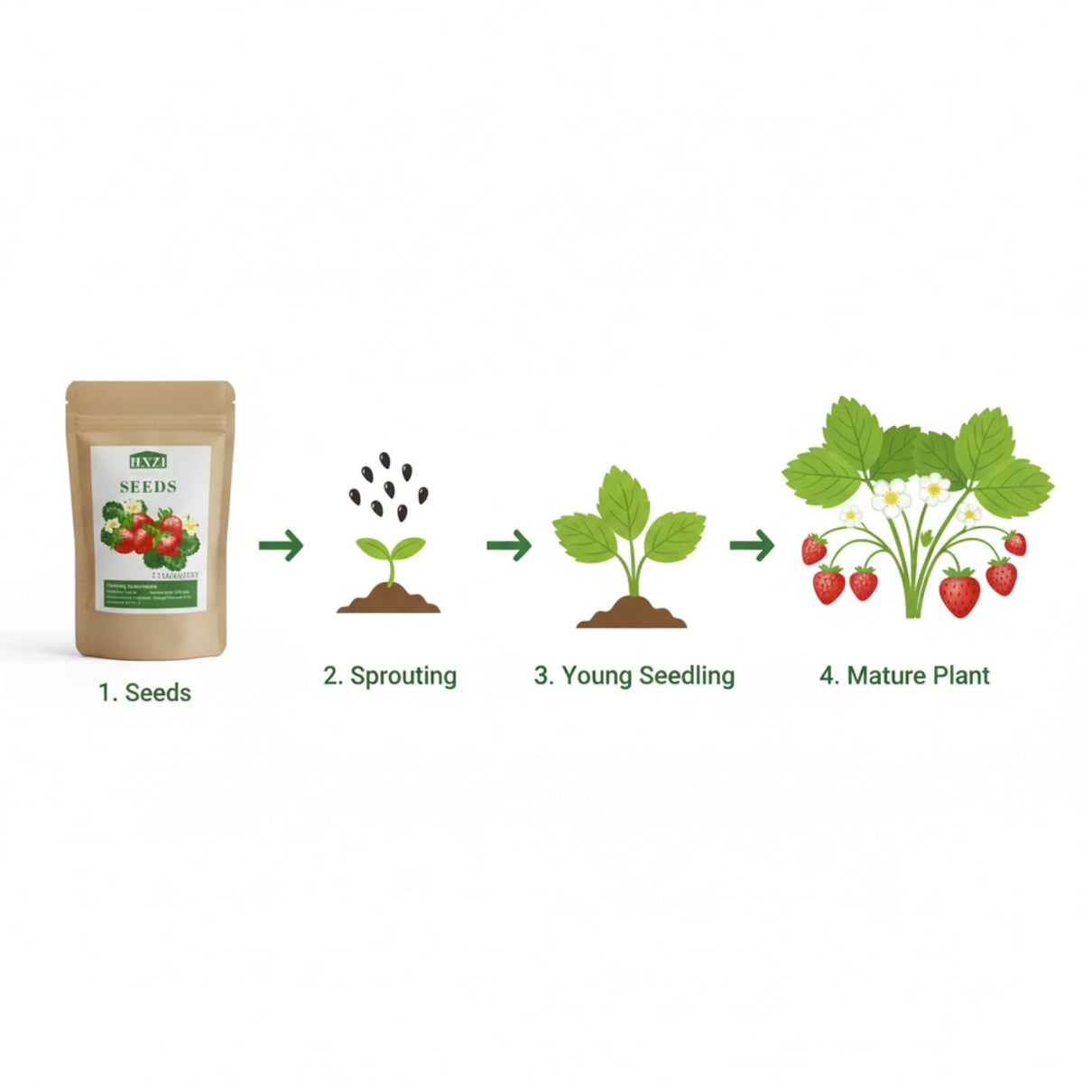 KCT GARDEN fertile soil setup for thriving strawberry growth.