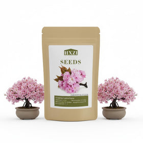 KCT GARDEN Japanese cherry blossom bonsai seeds pack 30 for a calm gardening project