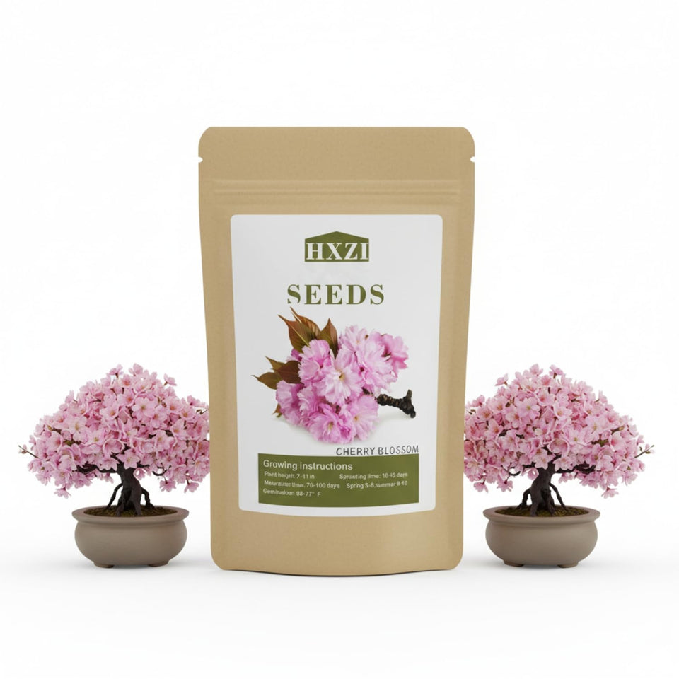 KCT GARDEN Japanese cherry blossom bonsai seeds pack 30 for a calm gardening project