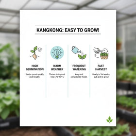 KCT GARDEN Kangkong enjoys full sun to partial shade.