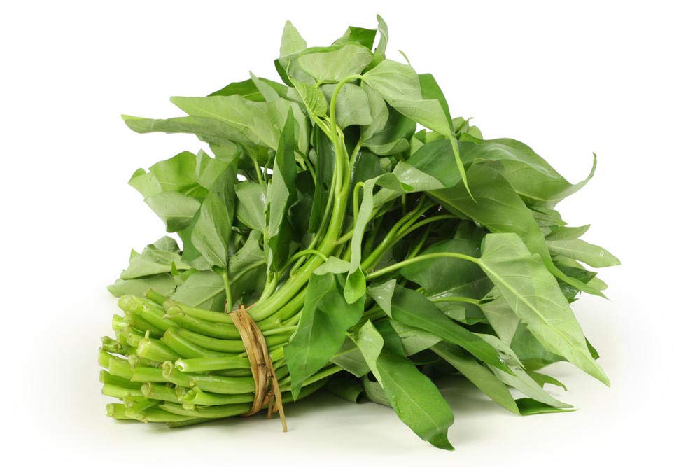 KCT GARDEN Kangkong harvests on a cut-and-come-again cycle.