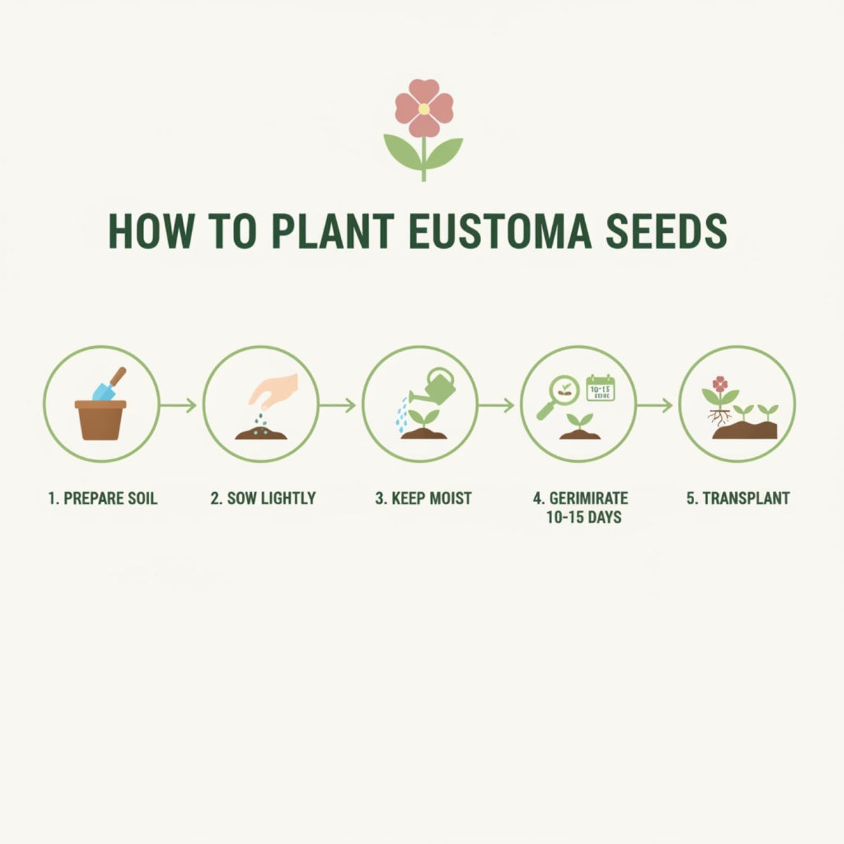 KCT Garden Lisianthus seeds are non-GMO and garden-friendly.