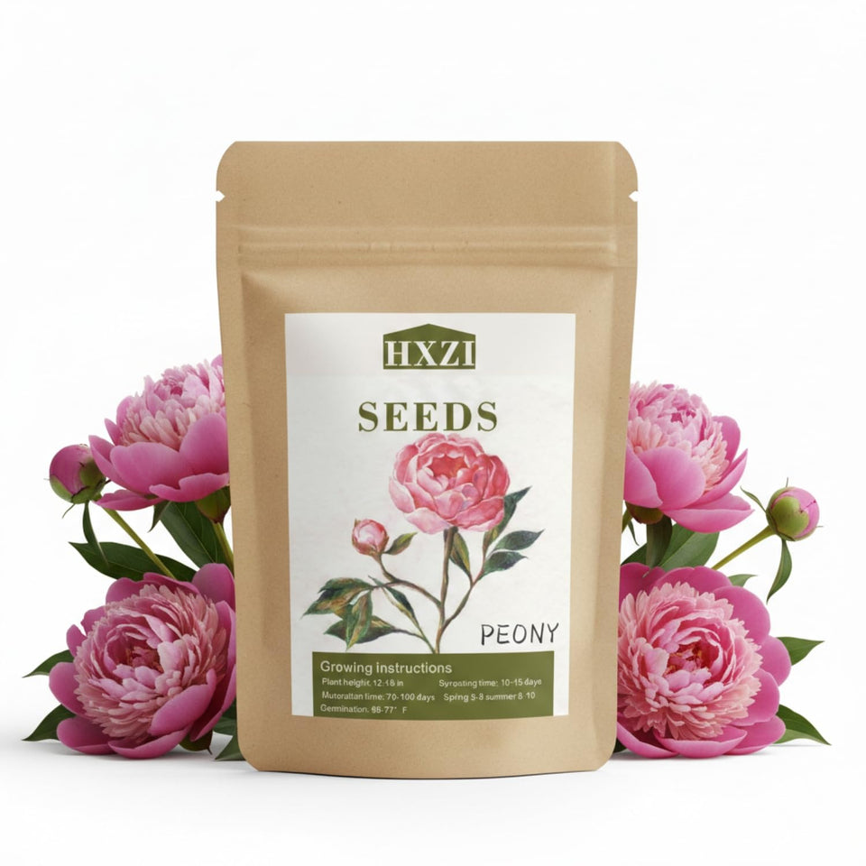 KCT GARDEN peony seeds pack ready for planting in your garden.
