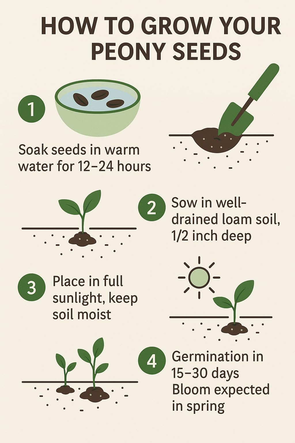 KCT GARDEN seed pack with clear tips for care and planting.