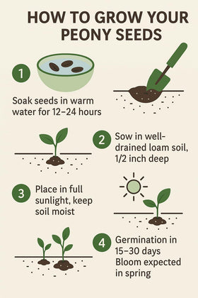 KCT GARDEN seed pack with clear tips for care and planting.