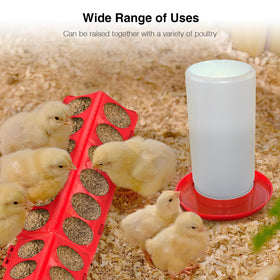 Kculehtlla all-in-one starter kit keeps multiple birds fed together safely