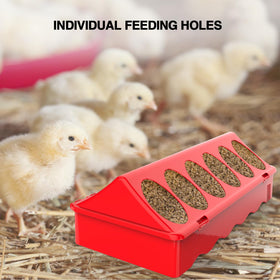 Kculehtlla durable feeder construction withstands daily coop use.