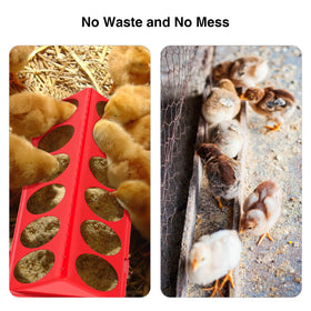 Kculehtlla feeder tray with individual holes keeps chicks fed and stimulated