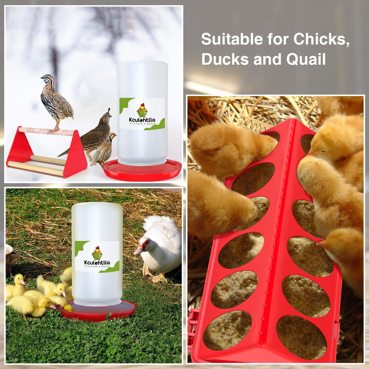 Kculehtlla plastic design reduces tipping compared to metal feeders