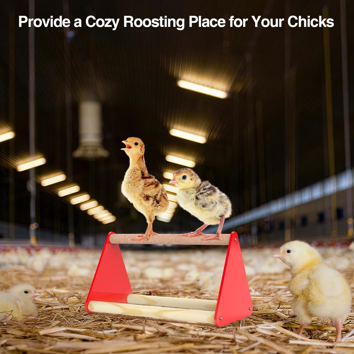 Kculehtlla versatile poultry kit suitable for coop, brooder, or outdoor setup