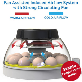 KEBONNIXS built-in egg candler visible inner development