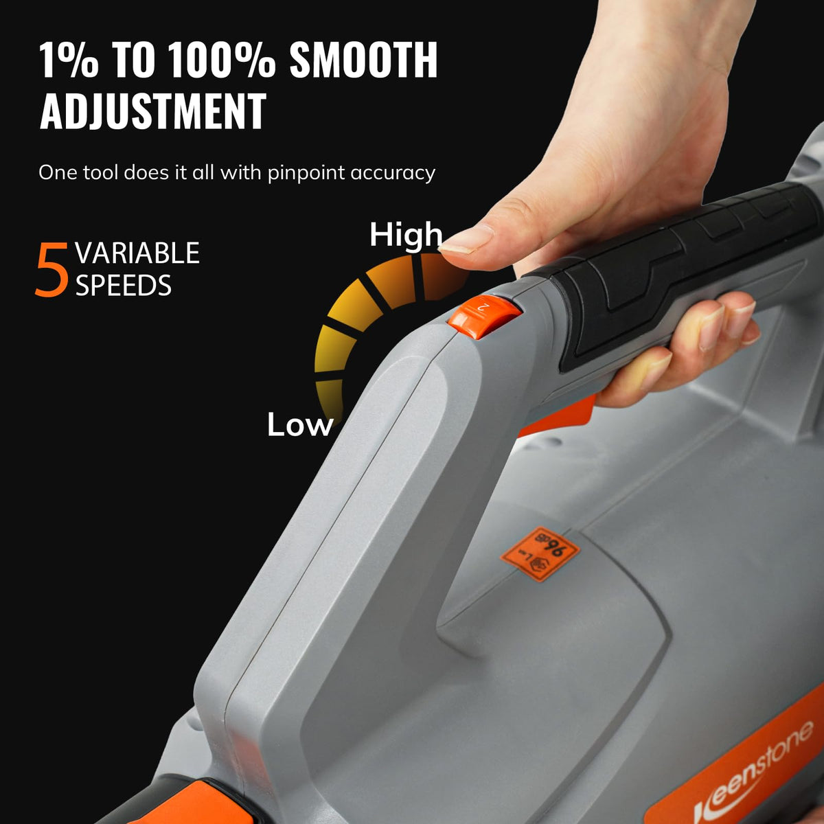 Keenstone Leaf Blower in action on driveway and patio