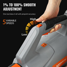 Keenstone Leaf Blower in action on driveway and patio