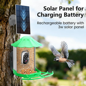 Keepyoo 2.4G WiFi antenna boosts stable live streaming from the feeder.