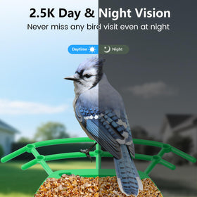 Keepyoo 2.5K HD Camera delivers sharp daytime and night footage for detailed observation.