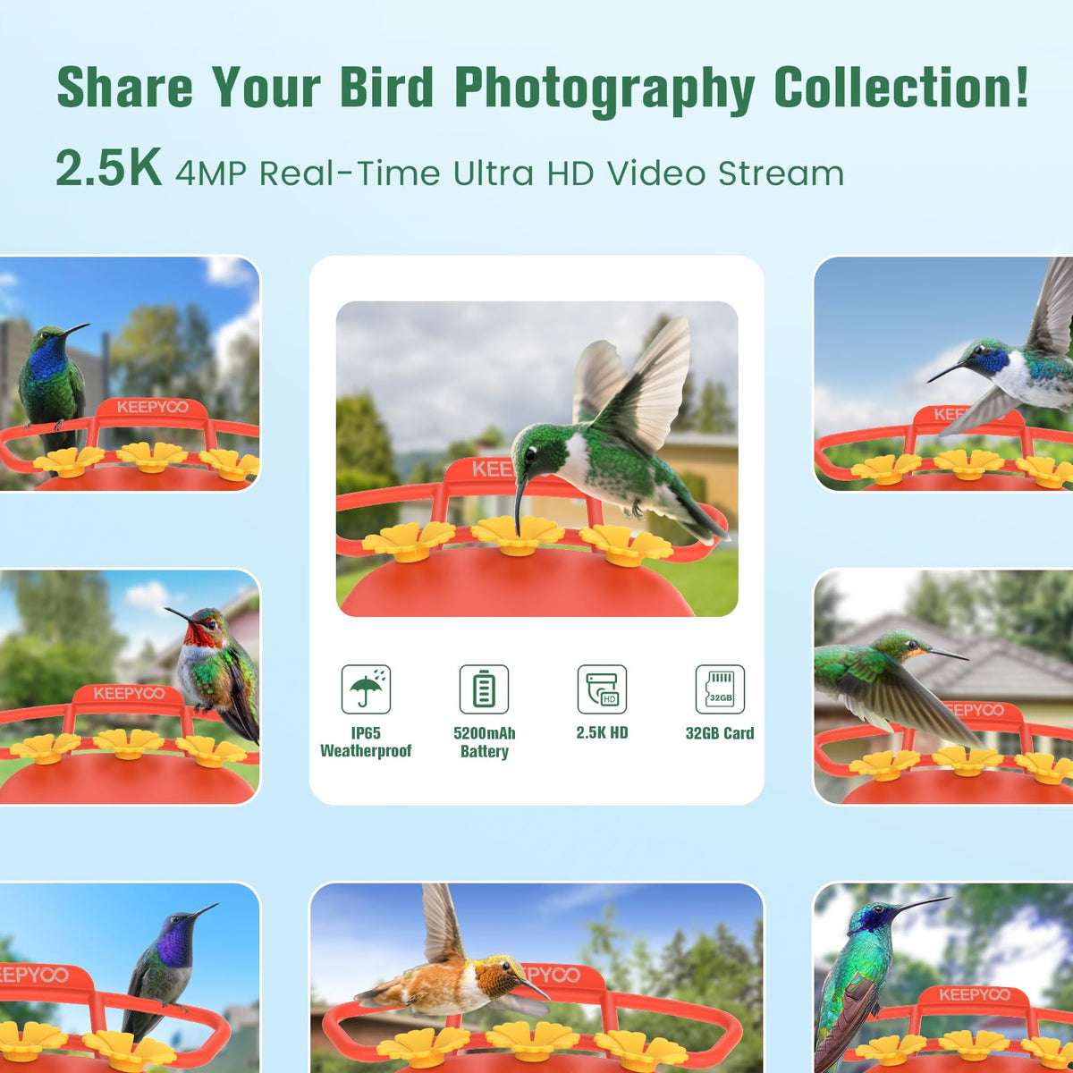 KEEPYOO 2.5K HD camera with night vision captures dusk visits clearly