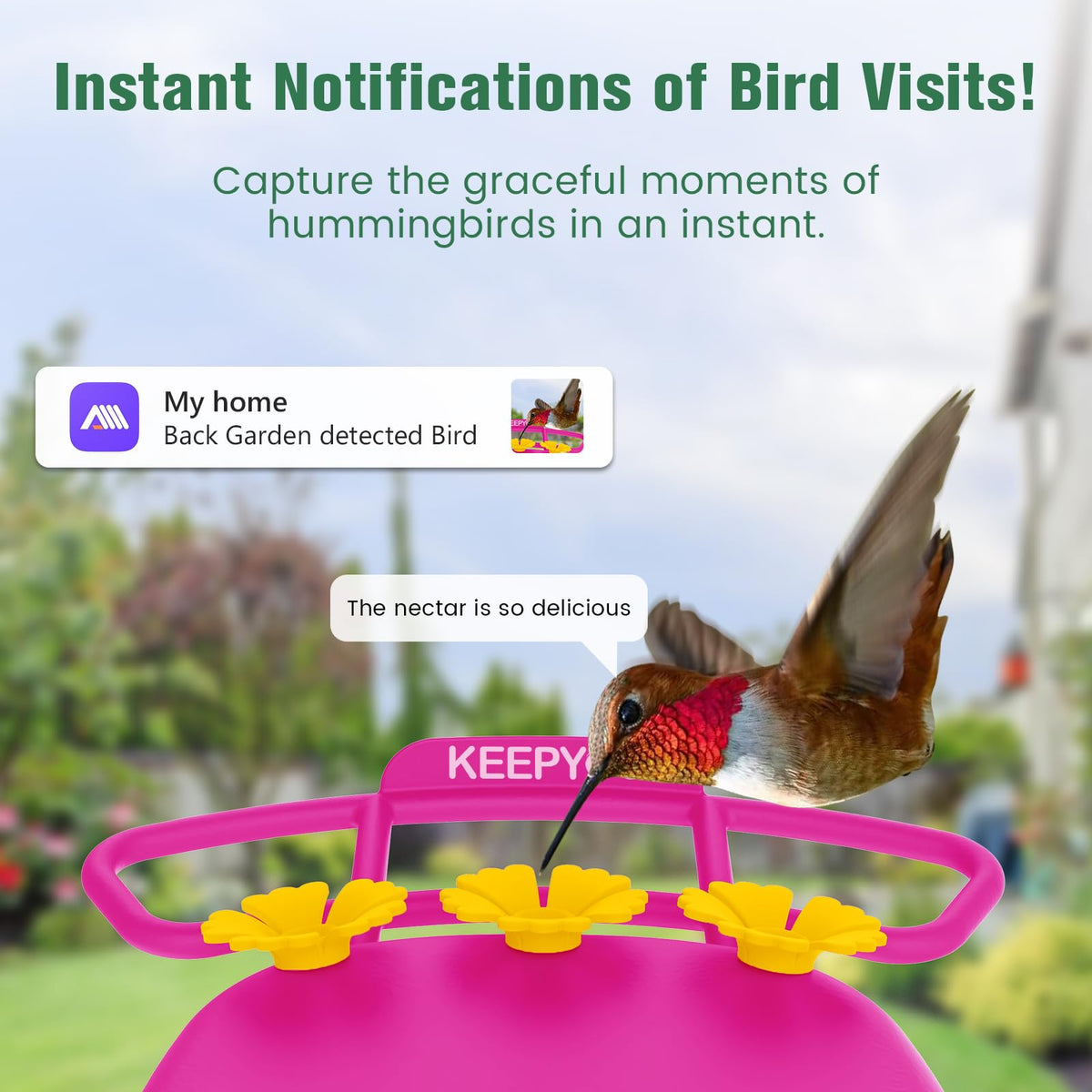 KEEPYOO AI bird identification notification, instant alerts help you know which species visit.
