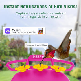 KEEPYOO AI bird identification notification, instant alerts help you know which species visit.