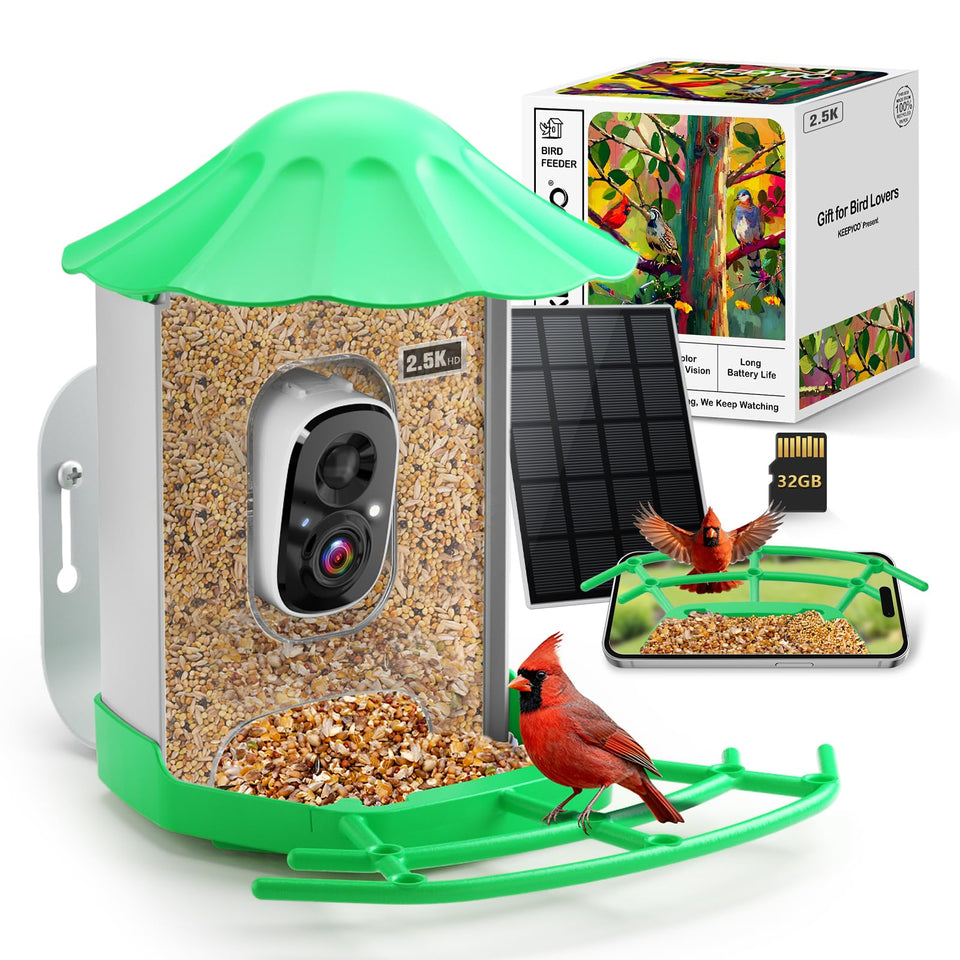 Keepyoo Bird Feeder Camera setup view for easy backyard bird observation.