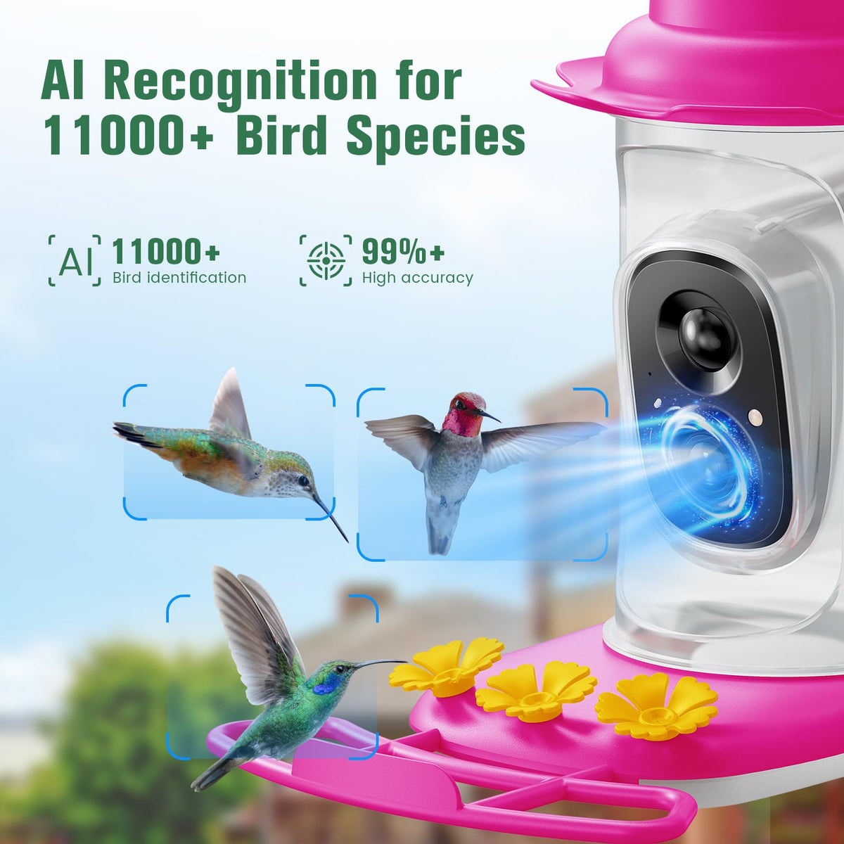 KEEPYOO camera close-up, crisp footage captures birds in detail for wildlife watching.
