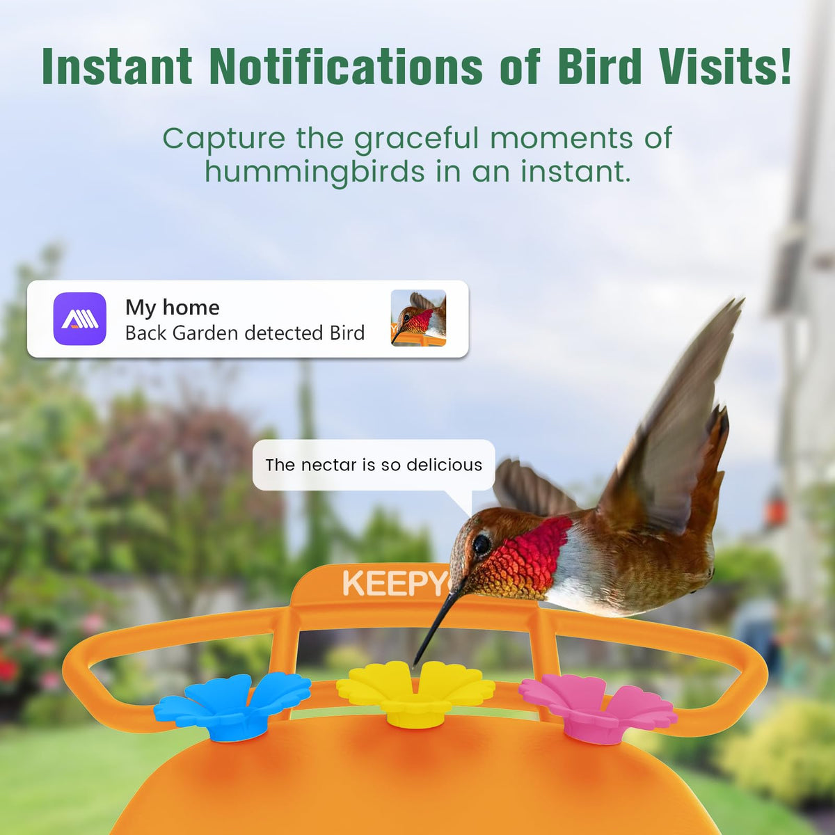 KEEPYOO hummingbird feeder anti-bee moat for clean feeding