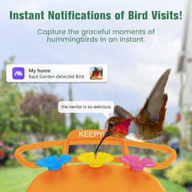 KEEPYOO hummingbird feeder anti-bee moat for clean feeding