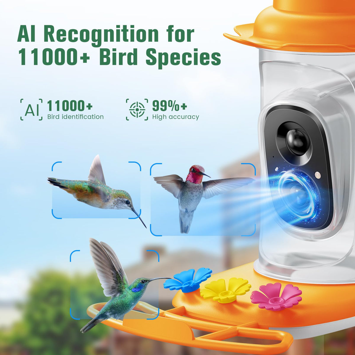 KEEPYOO hummingbird feeder camera at night with infrared clarity