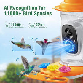 KEEPYOO hummingbird feeder camera at night with infrared clarity