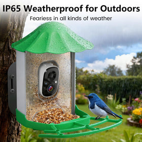 Keepyoo Three-user live stream invites family to watch birds together.