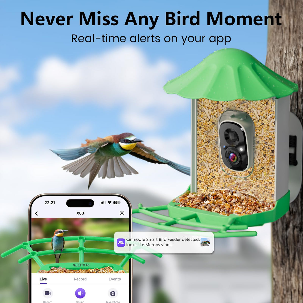 Keepyoo SD Card and cloud storage keep every bird moment safely saved.