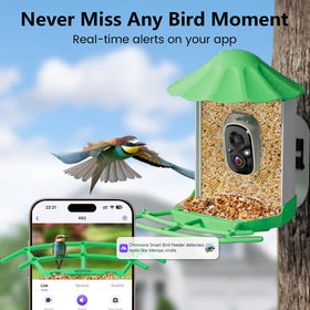 Keepyoo SD Card and cloud storage keep every bird moment safely saved.