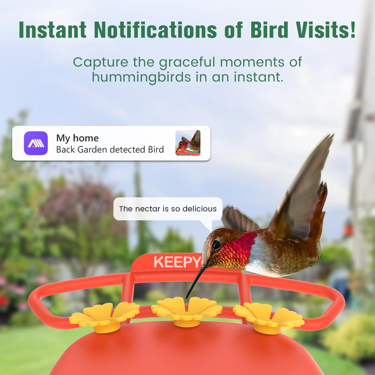 KEEPYOO smart bird feeder outdoors IP65 housing protects against rain