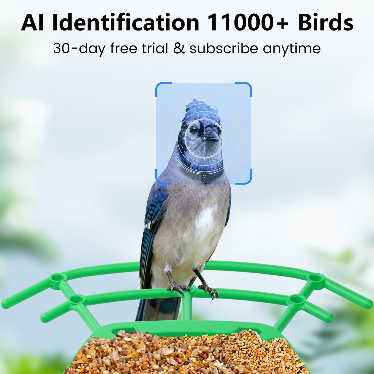 Keepyoo Solar-powered Bird Feeder provides continuous energy for uninterrupted backyard bird watching.