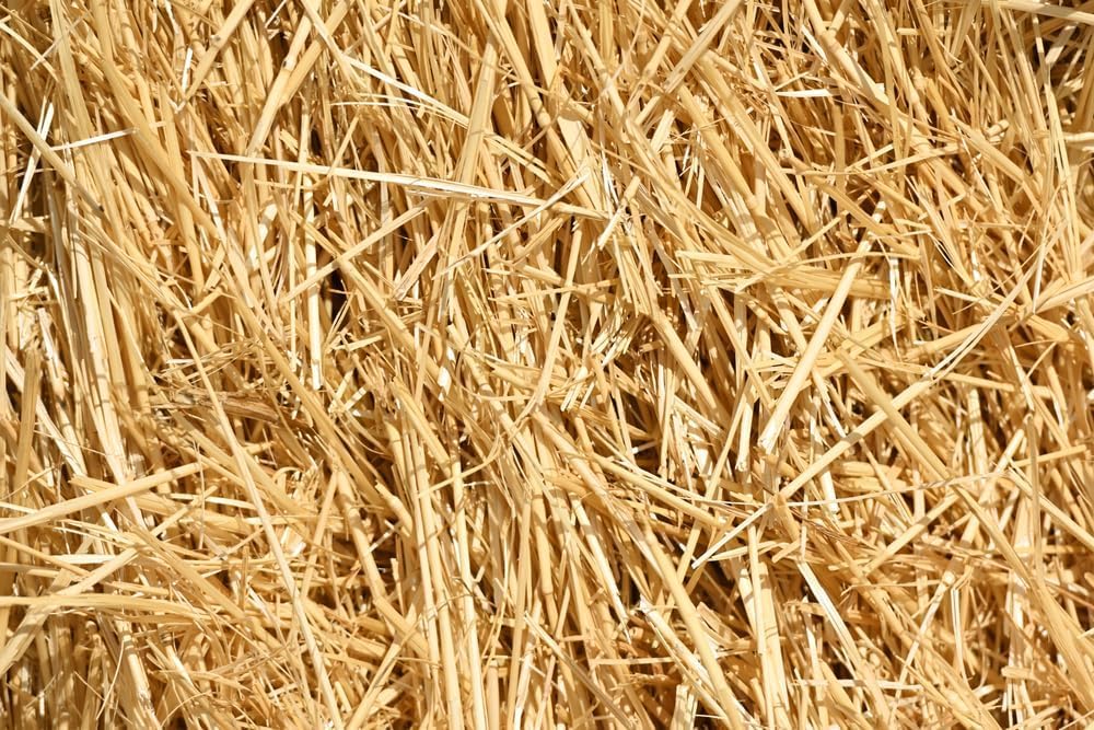 Kela Tipi wheat straw bale creates a soft animal bed in yellow, ideal for cozy resting.