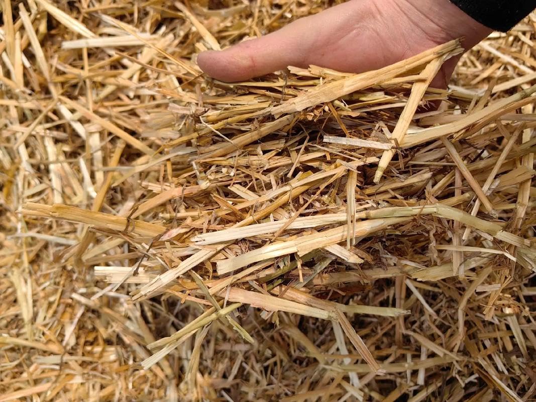 Kela Tipi garden mulch straw helps mulch beds and suppress weeds while adding biomass.