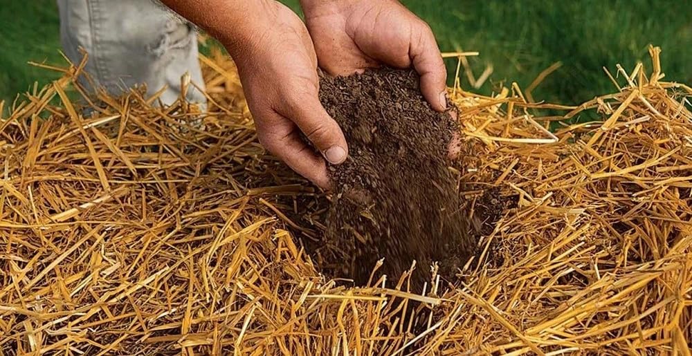 Kela Tipi poultry nest straw provides a dry, comfortable surface for small birds.