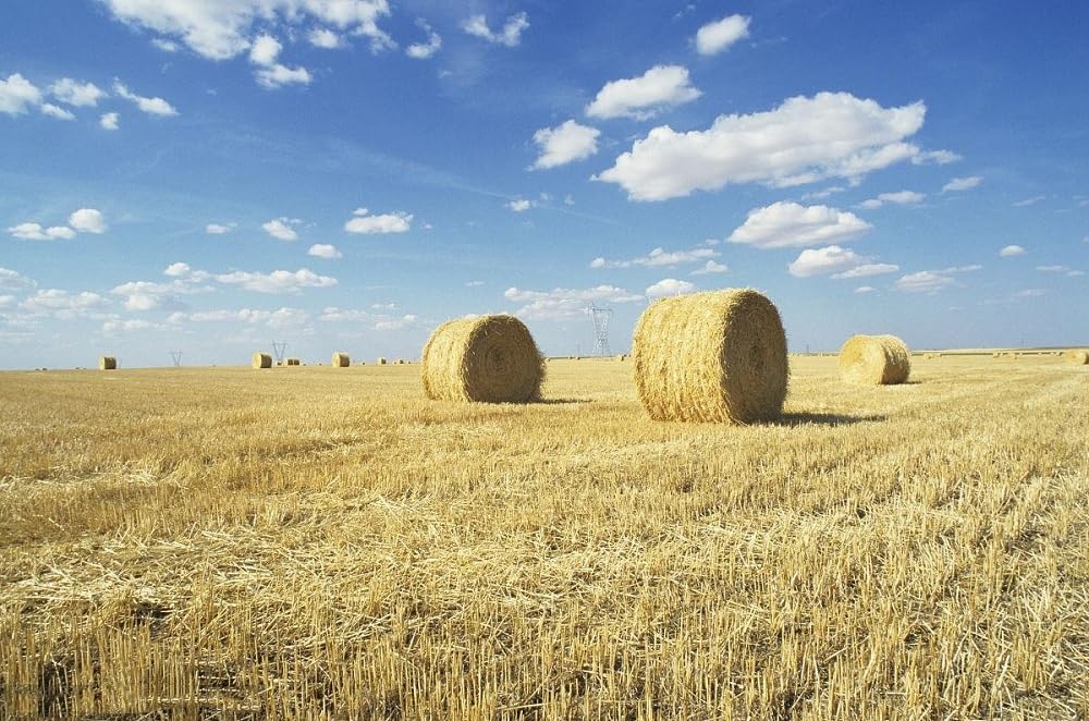 Kela Tipi soft dried straw bale enriches pet habitats with eco-friendly materials.