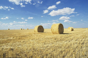 Kela Tipi soft dried straw bale enriches pet habitats with eco-friendly materials.